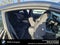 2017 Ford Mustang Shelby GT350