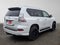2019 Lexus GX 460 Luxury