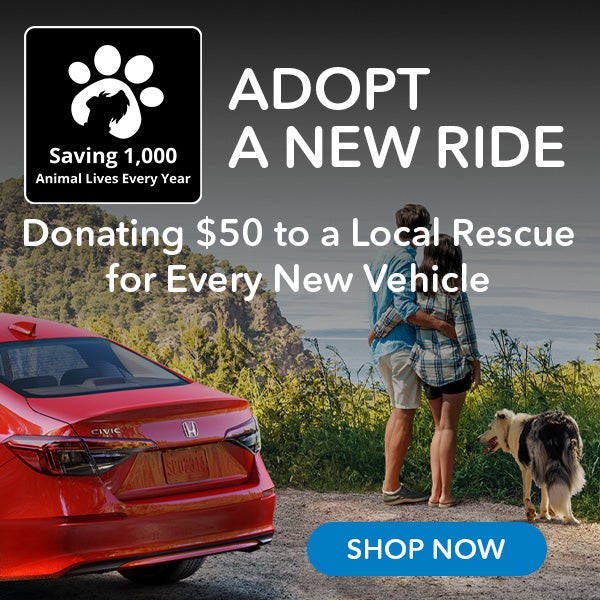 adopt