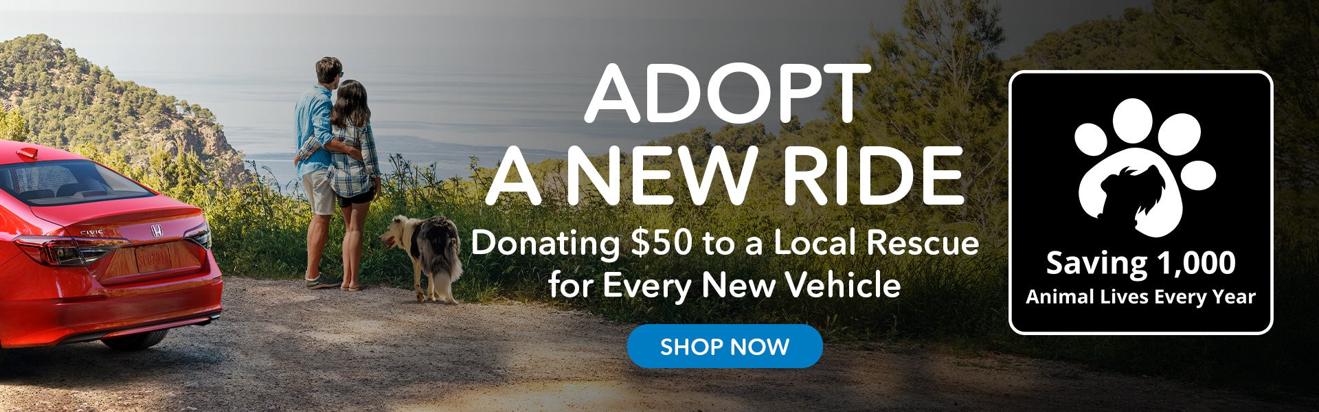 adopt